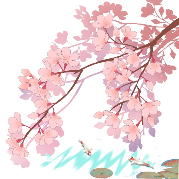 日本春天樱花锦鲤池塘风景