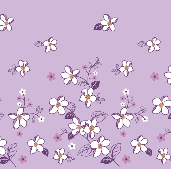 紫叶白花