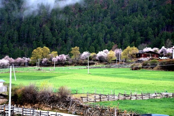 川藏林芝风景