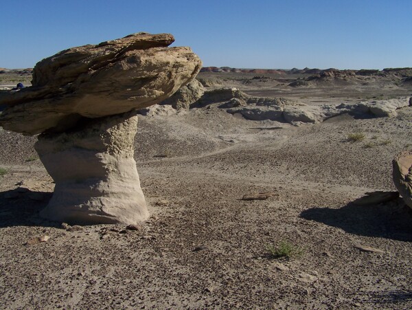 沙漠岩石图片