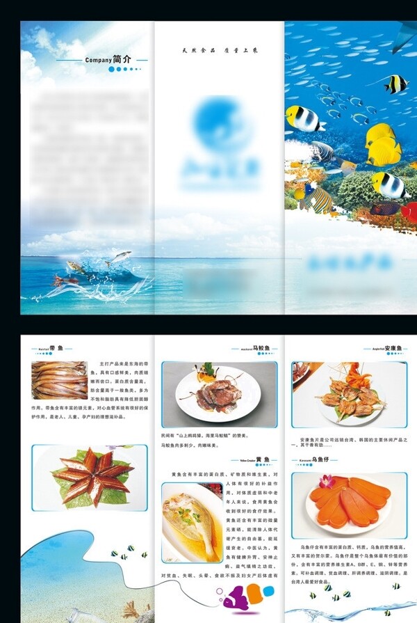 海产品三折页图片