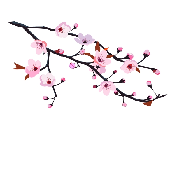 樱花树樱花节春天花卉手绘矢量