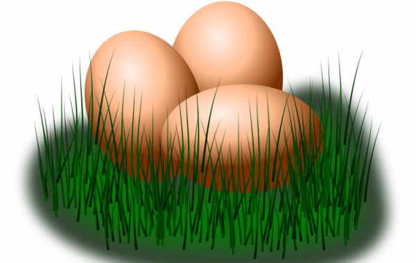 在草地的矢量图像的鸡蛋