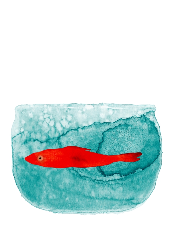 手绘彩绘鱼在鱼缸中游