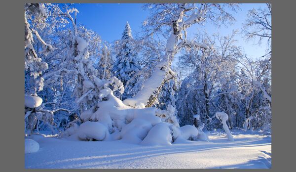 雪乡雪景图片