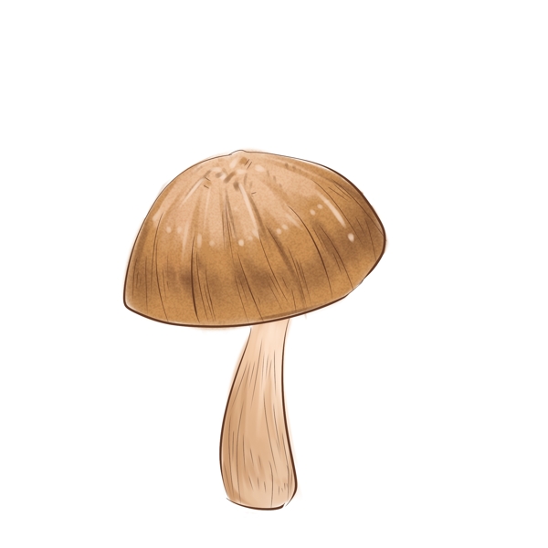 食材香菇蘑菇