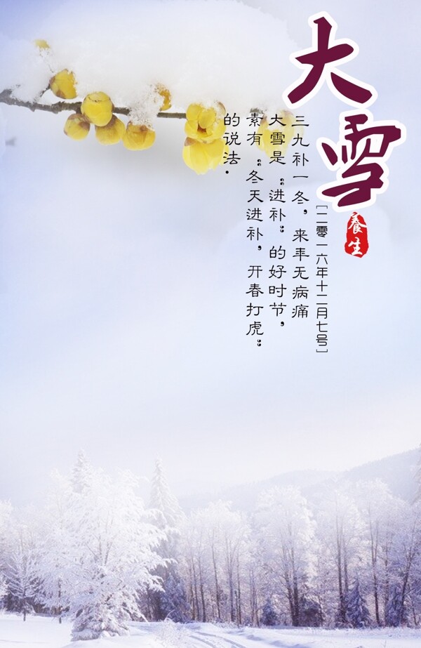 大雪雪景腊梅节气图片