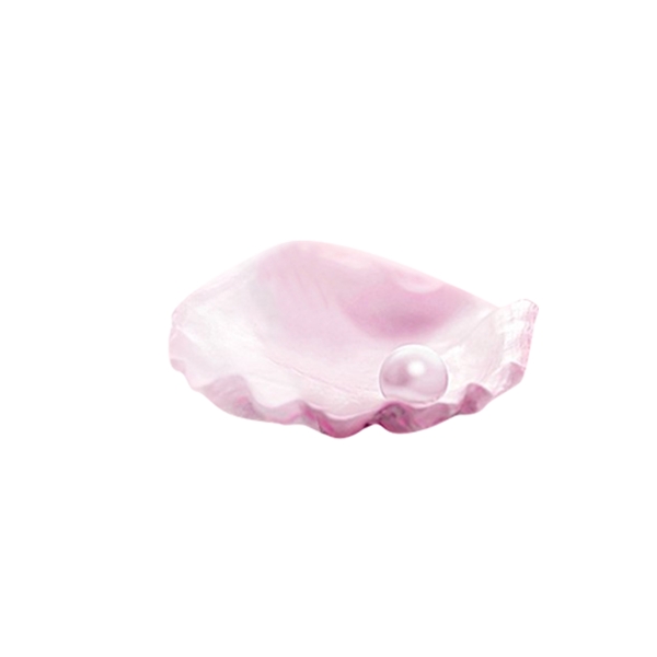 粉色贝壳珍珠