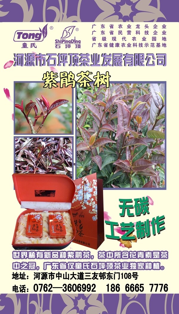 紫鹃茶展架图片