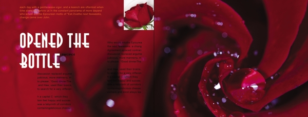 玫瑰花画册图片