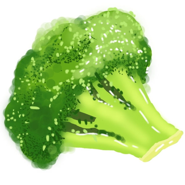 绿色有机蔬菜插图