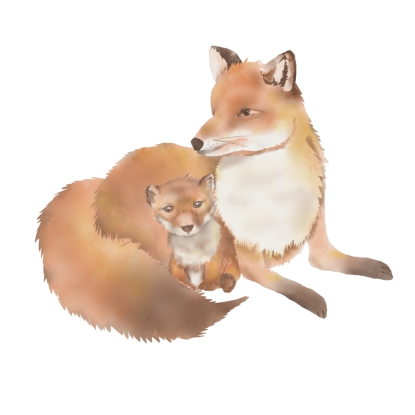 大狐狸母亲和小狐狸相亲相爱元素