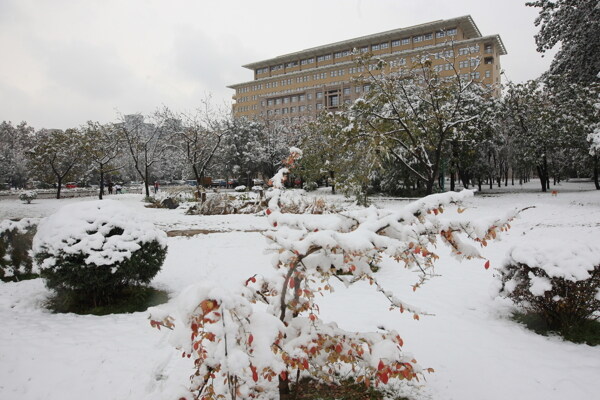 北语雪景教一楼图片