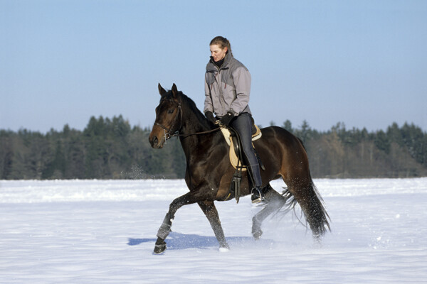 雪中骑马的女孩图片