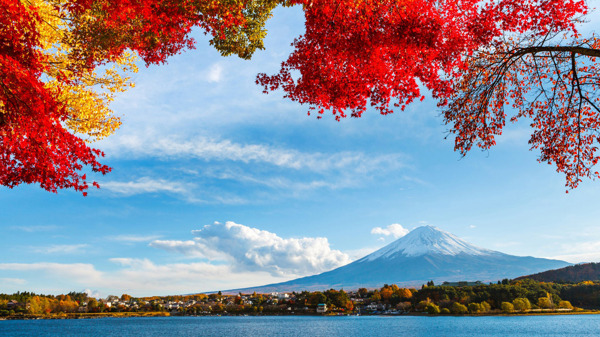 美丽的富士山