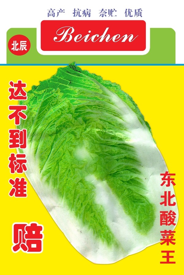 白菜种子图片