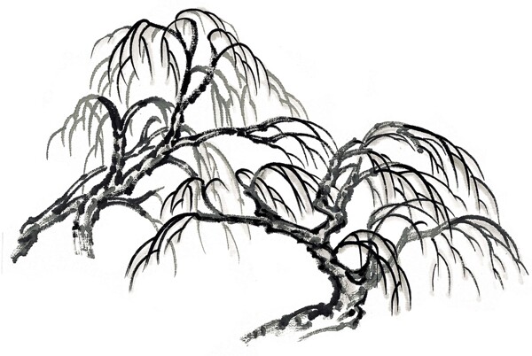 水墨柳树图片