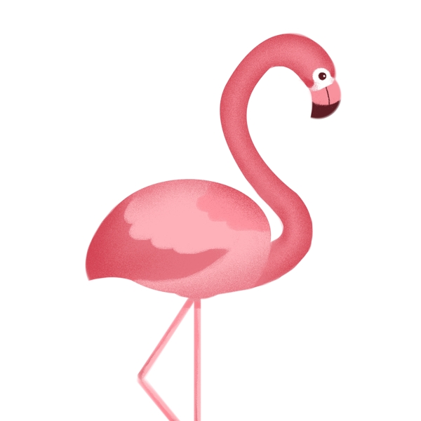 粉红色火烈鸟爱情鸟设计可商用元素