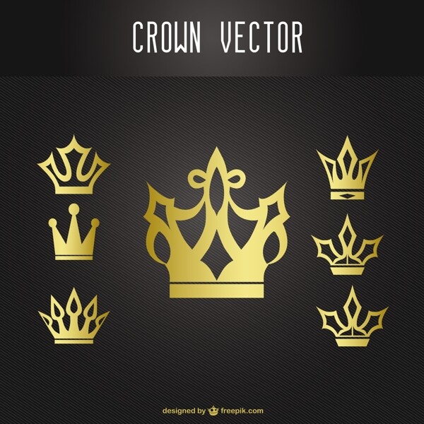 金皇冠设计图标