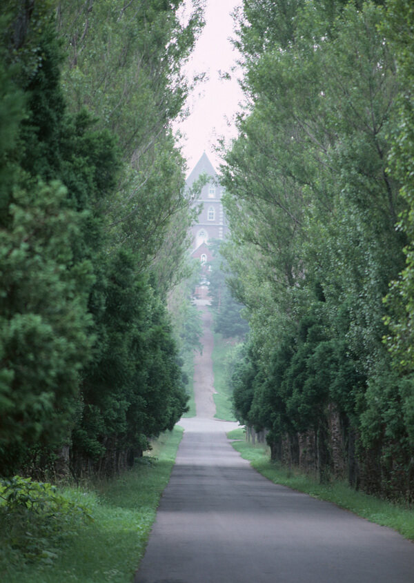 教堂与马路风景图片