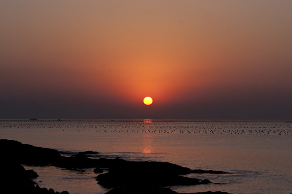 海上日出图片