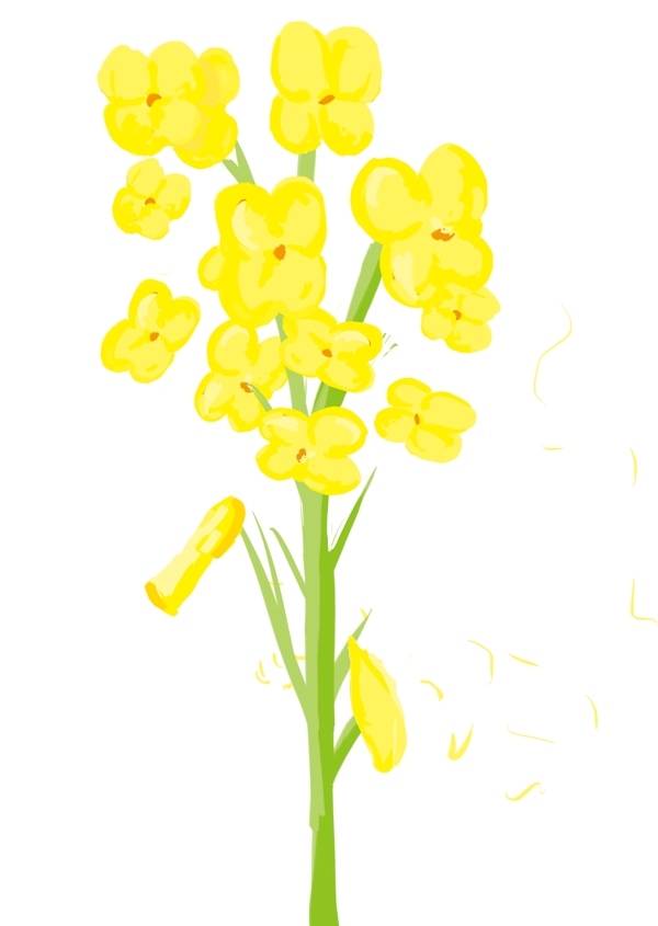 春季油菜花装饰插画