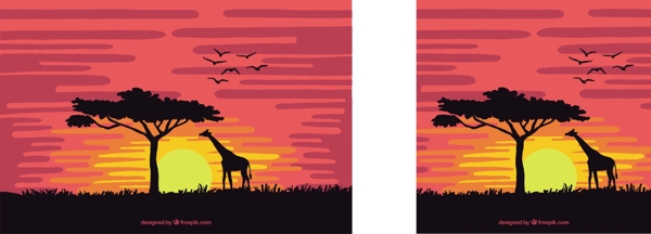日落大草原的长颈鹿