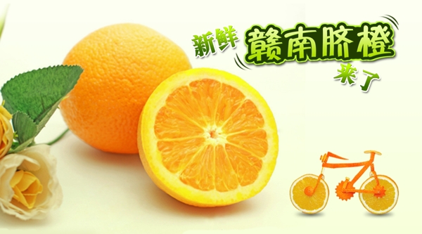 橙子赣南脐橙水果图片