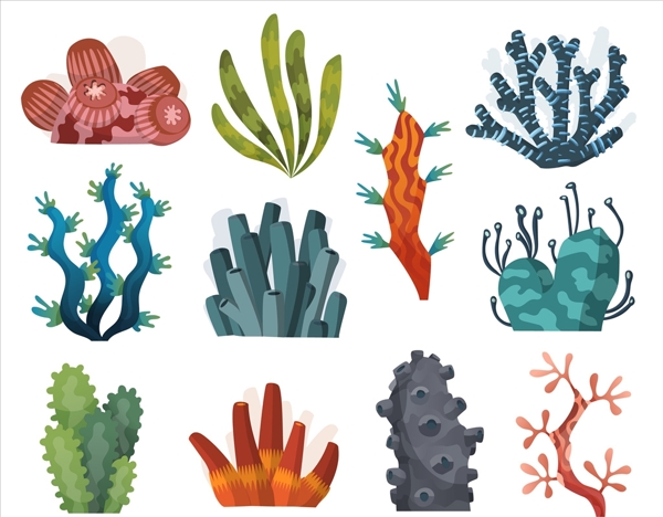 卡通珊瑚