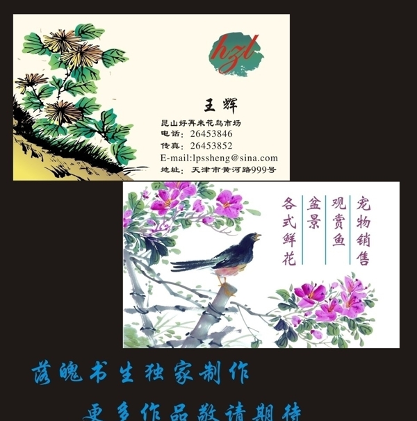 花鸟名片图片