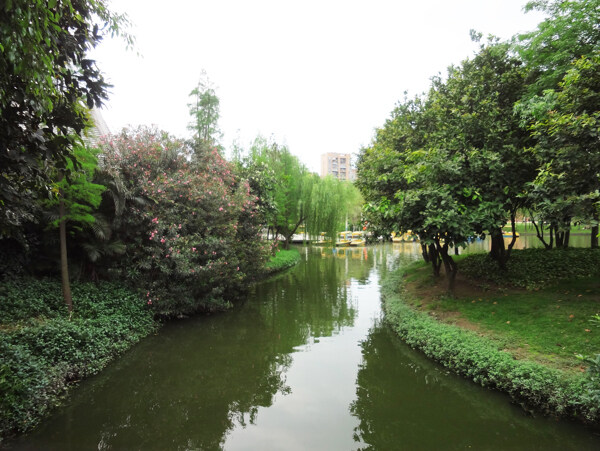 公园绿景图片