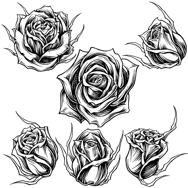 手绘黑白玫瑰花