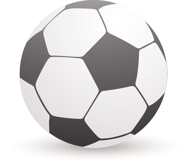 足球Lite体育图标