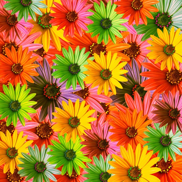 五颜六色的花朵背景高清图片