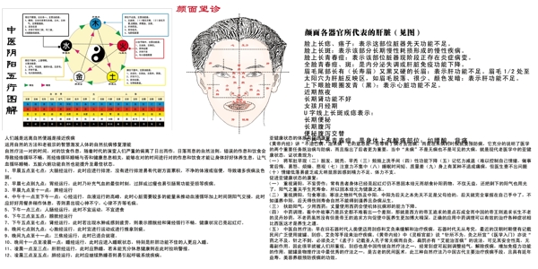 中医与阴阳五行图片