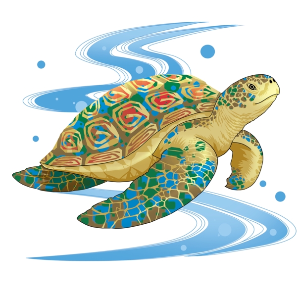 彩色海龟图片