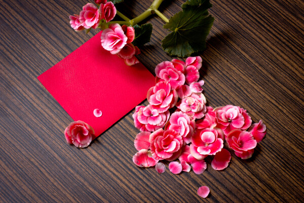 美丽的花朵爱心与红色卡片图片