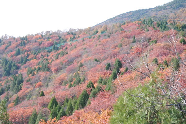 高山天空