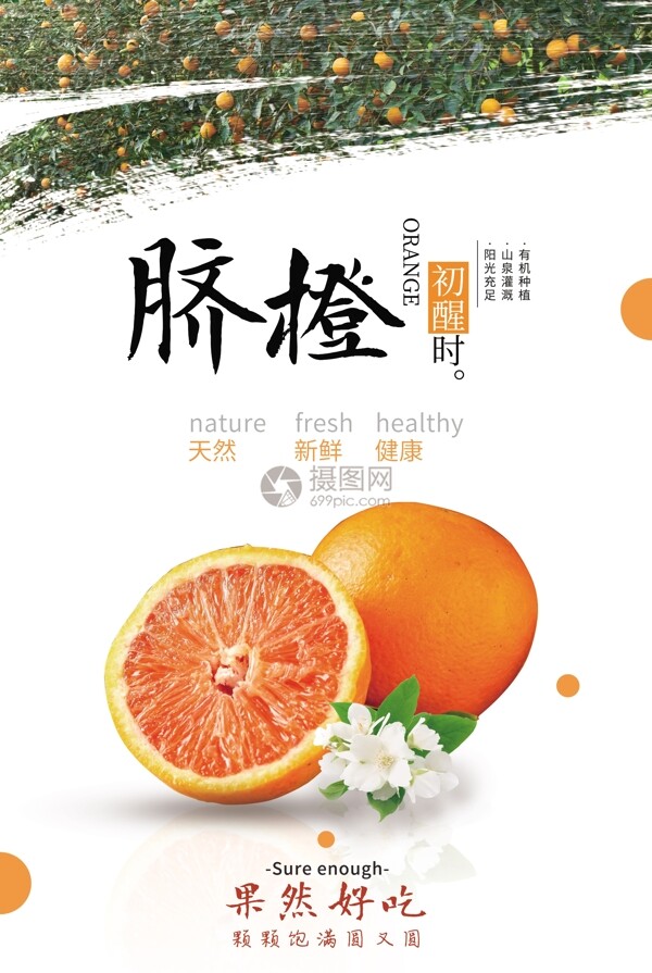 水果脐橙海报