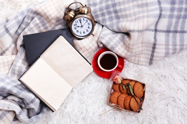 毛毯上的格子布饼干闹钟和书本图片
