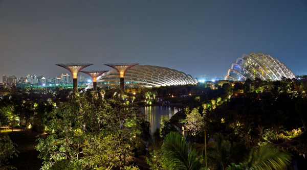 新加坡滨海湾花园夜景图片