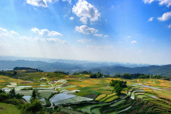 贵州蓝天下连绵的山与不规则的梯田图片