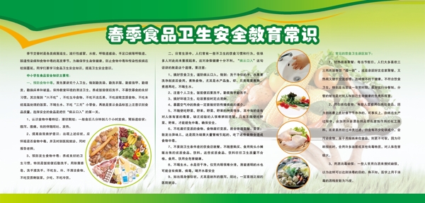 食品安全教育展板图片