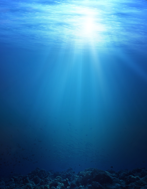 海底世界水下素材