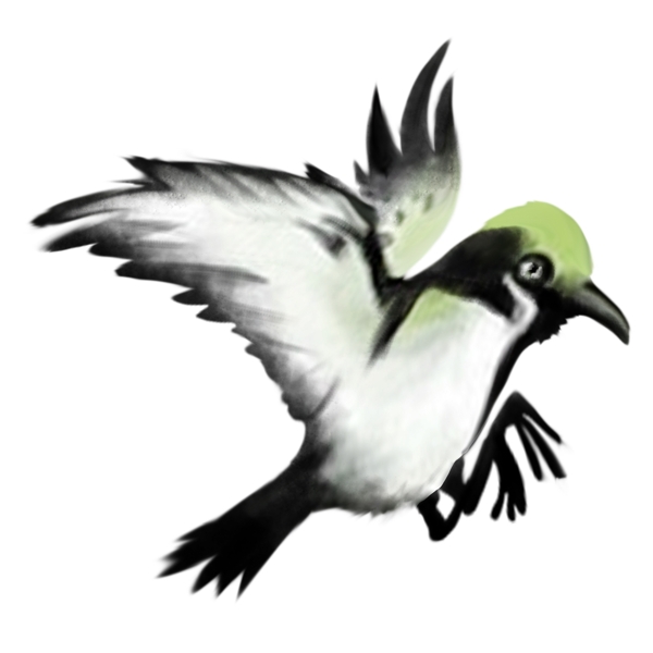 手绘中国风动物小鸟PNG素材