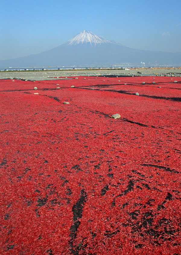 富士山图片