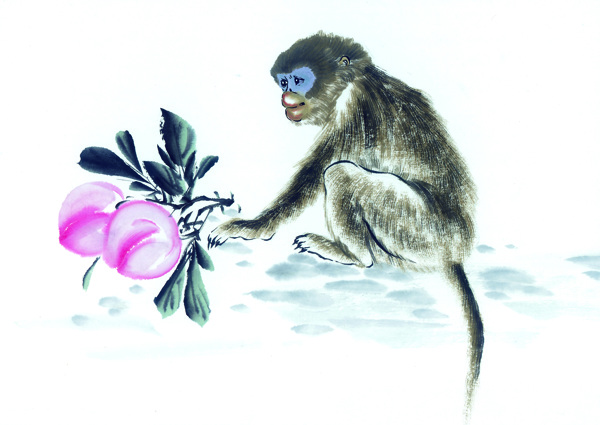 黑白十二生肖国画手绘猴图片