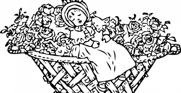 矢量插画的婴儿在玫瑰花篮