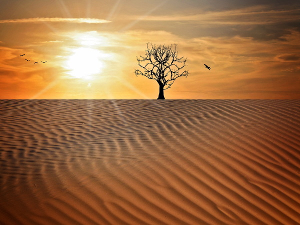 黄昏大沙漠风景图片