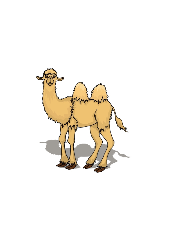 骆驼4向量